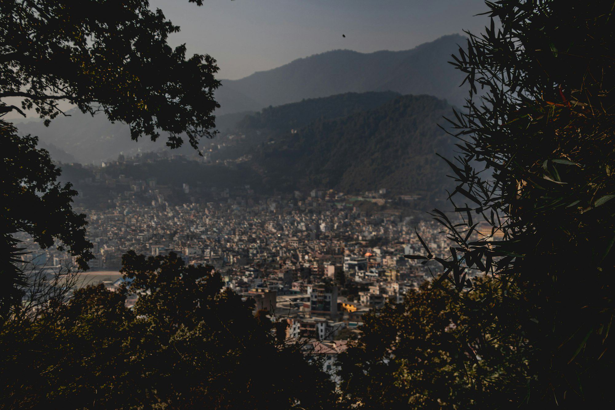 The Kathmandu valley seen through trees