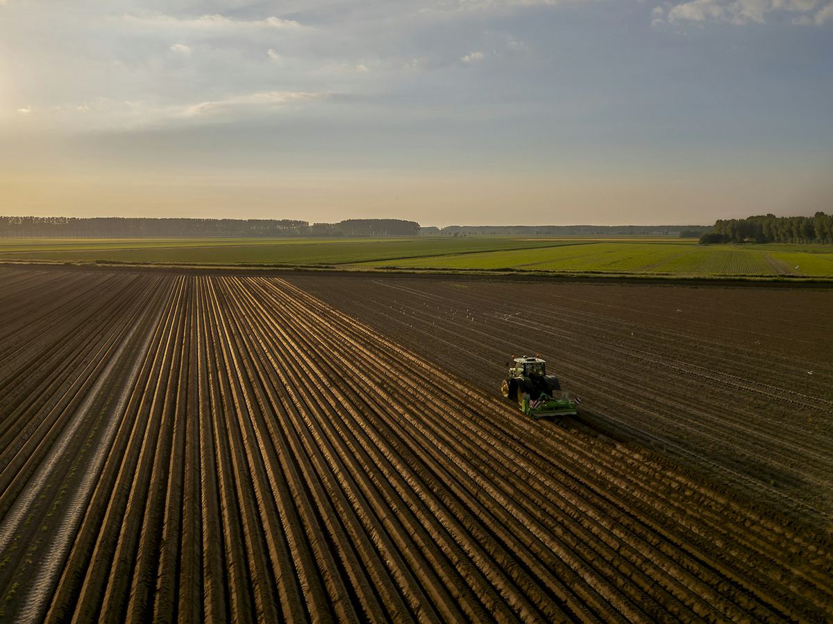 A tractor working a field at sunset